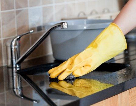 Professional carpet cleaning in a Dartmouth Park living room
