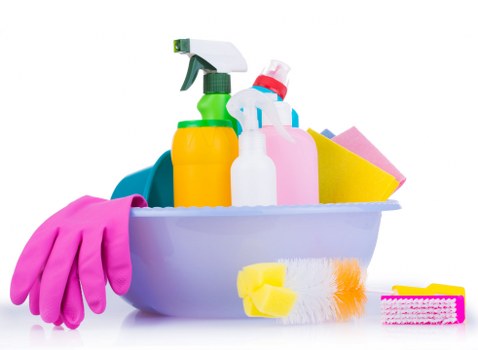 Professional pet stain odour removal in Dartmouth Park for carpets