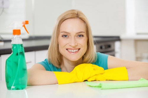 Steam cleaning curtains in a Dartmouth Park residence to remove odors and allergens