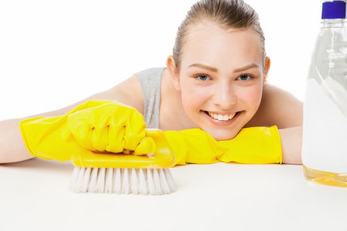Illustration of accessible website content for Dartmouth Park Carpet Cleaners
