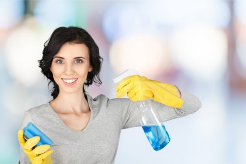 Professional mattress cleaning process in a home setting