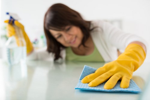 Free quote policy for Dartmouth Park carpet cleaners in a period home