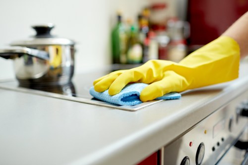 Cleaning solution and professional carpet treatment details within service conditions