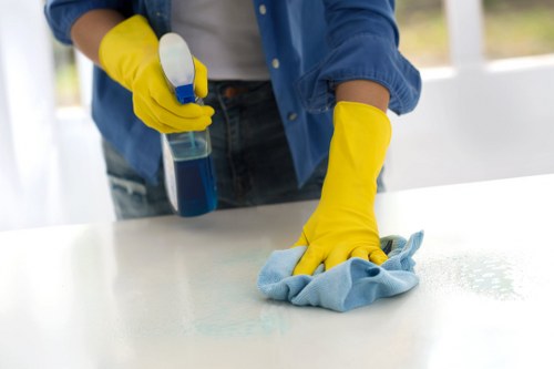 Cleaning pet urine stains and odours in a Dartmouth Park home