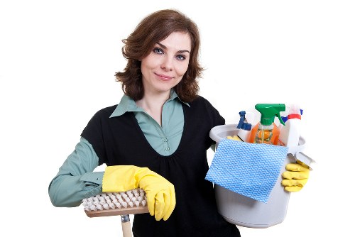 Deep pet odour treatment for upholstery in Dartmouth Park